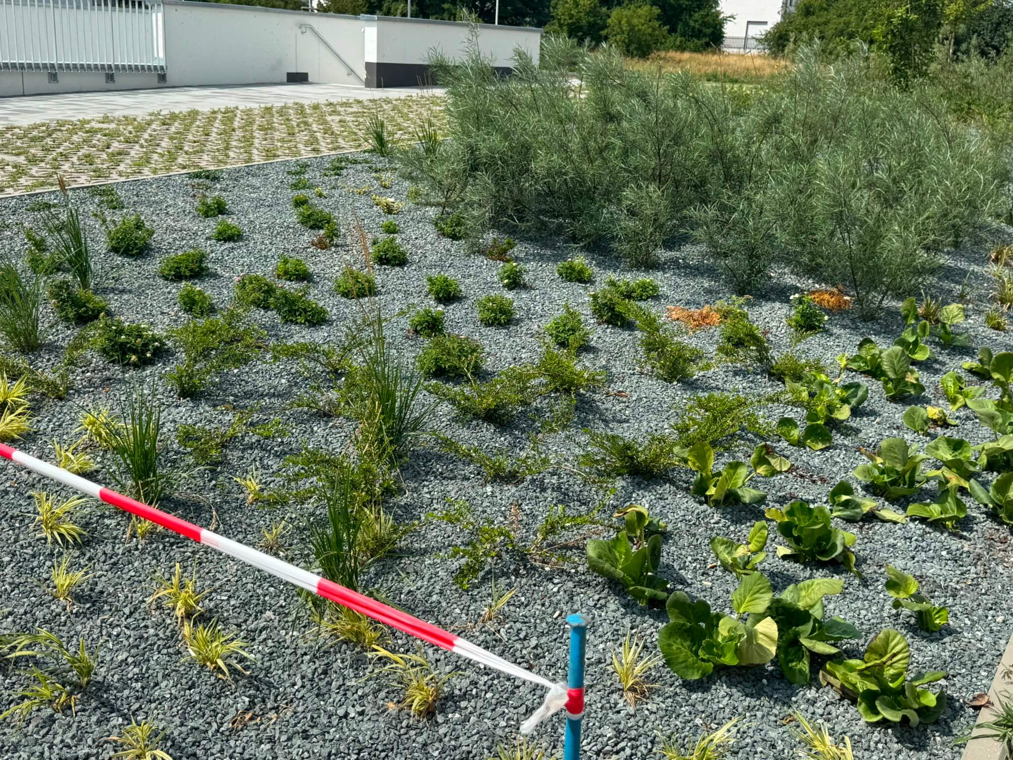 Haus- und Gartenprojekt 12